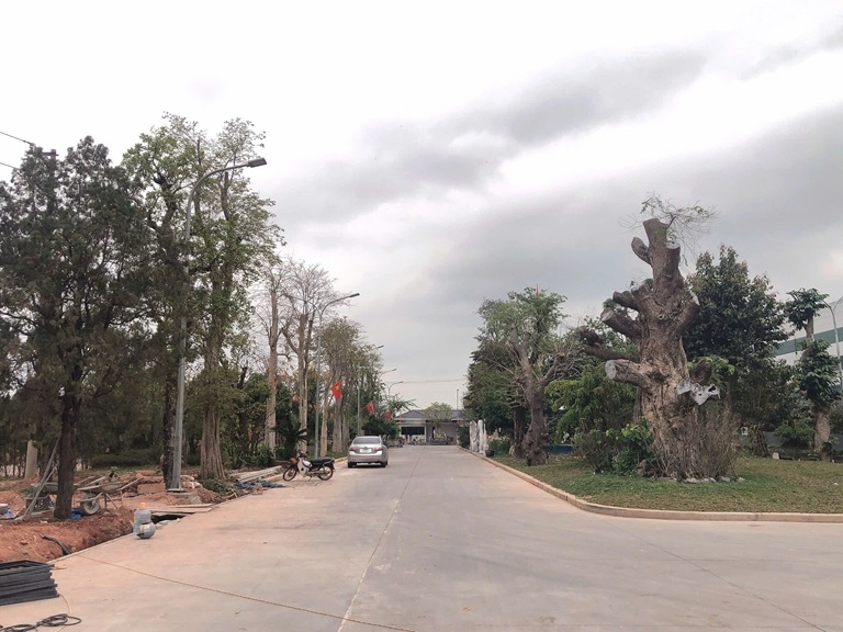 Dự án Nhà máy may Cầu Sen – Lục Nam – TP. Bắc Giang